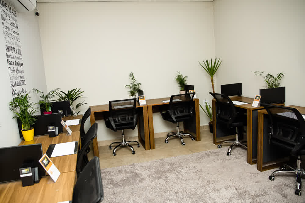 Visão ampla das estações de trabalho com plantas decorativas